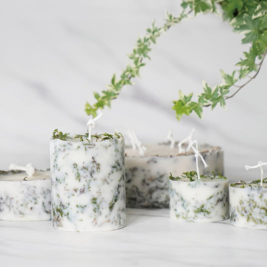 Among the Willows 30