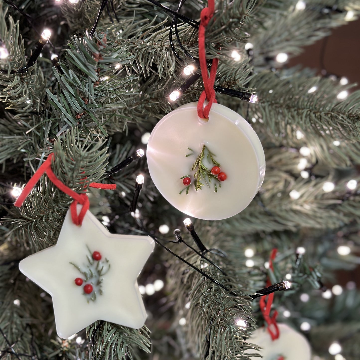 Christmas Duo