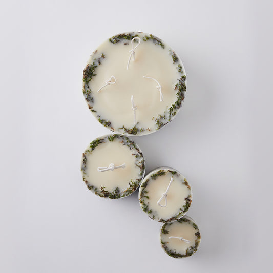 Among the Willows 90