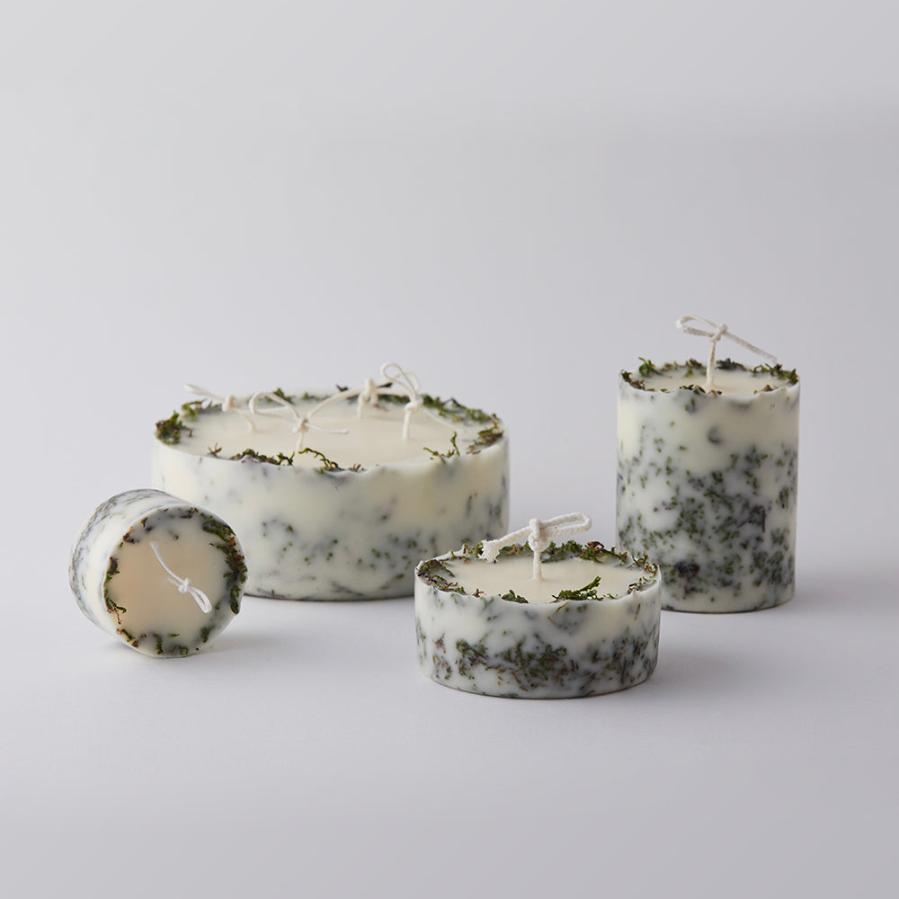 Among the Willows 40