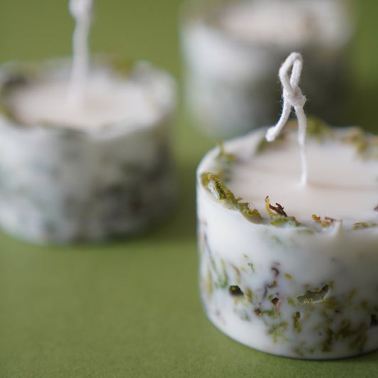 KOTT Botanical Candle | Moss | Among the Willows