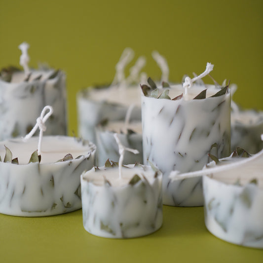 KOTT Botanical Candle | Moss | Evolve