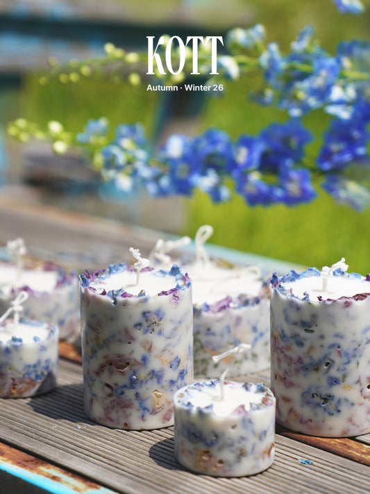 Vol.6