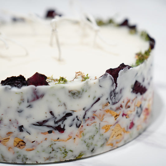 Fireside Secrets 600