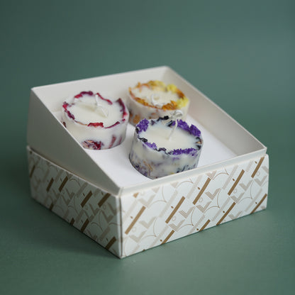 KOTT Botanical Candle |  Set Trio