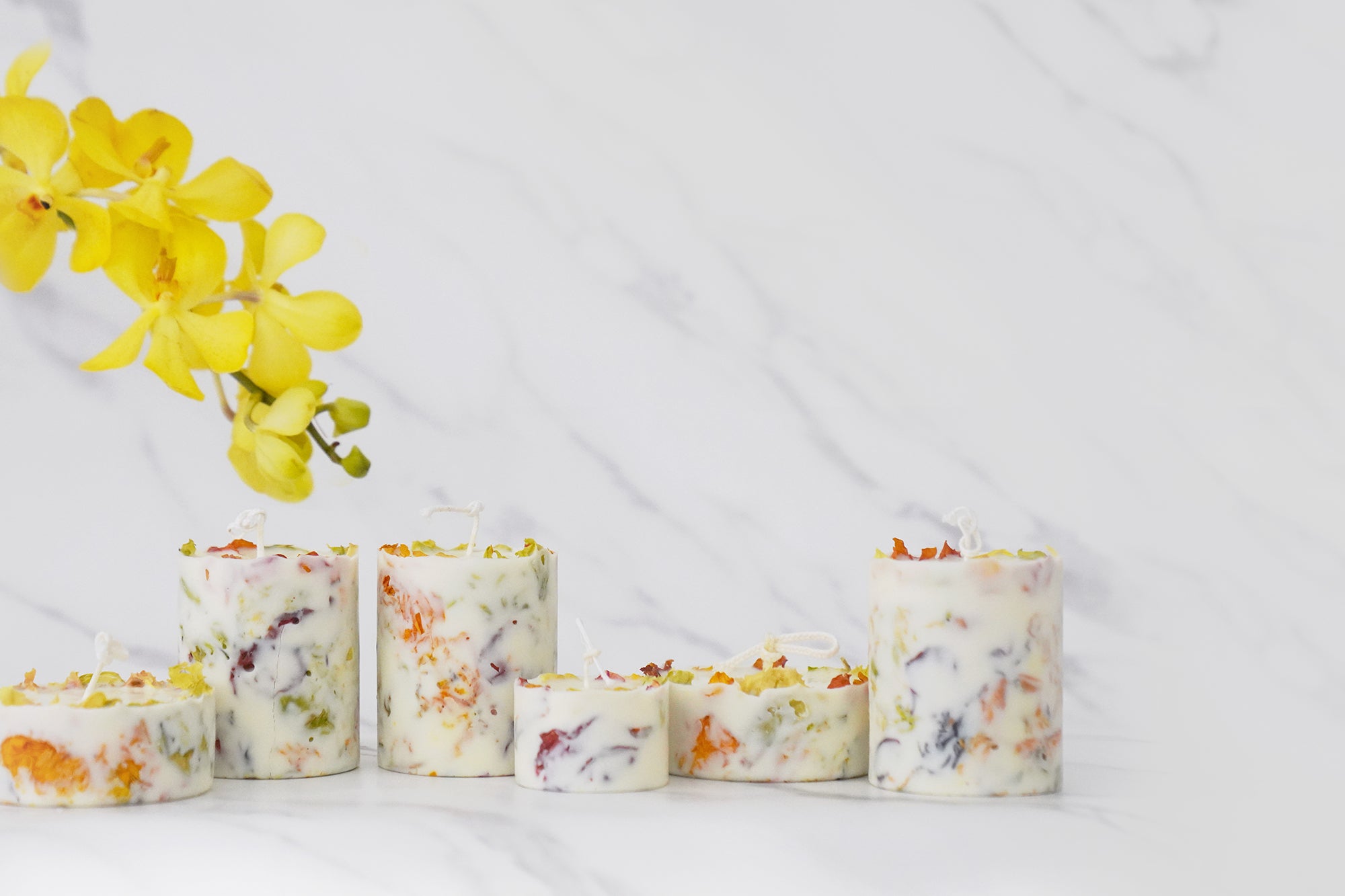 Fruity Fragrance Collection