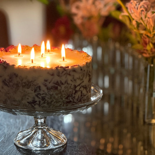 Fireside Secrets 600