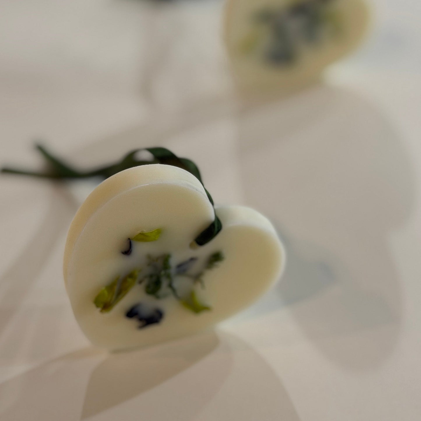 KOTT Botanical Wax Tablet — Among the Willows