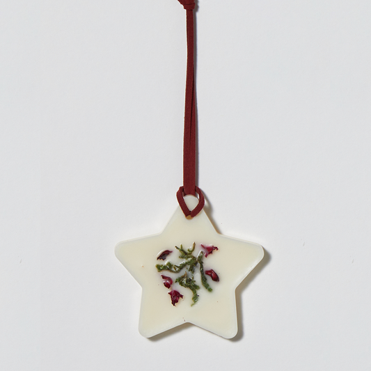 Christmas Star