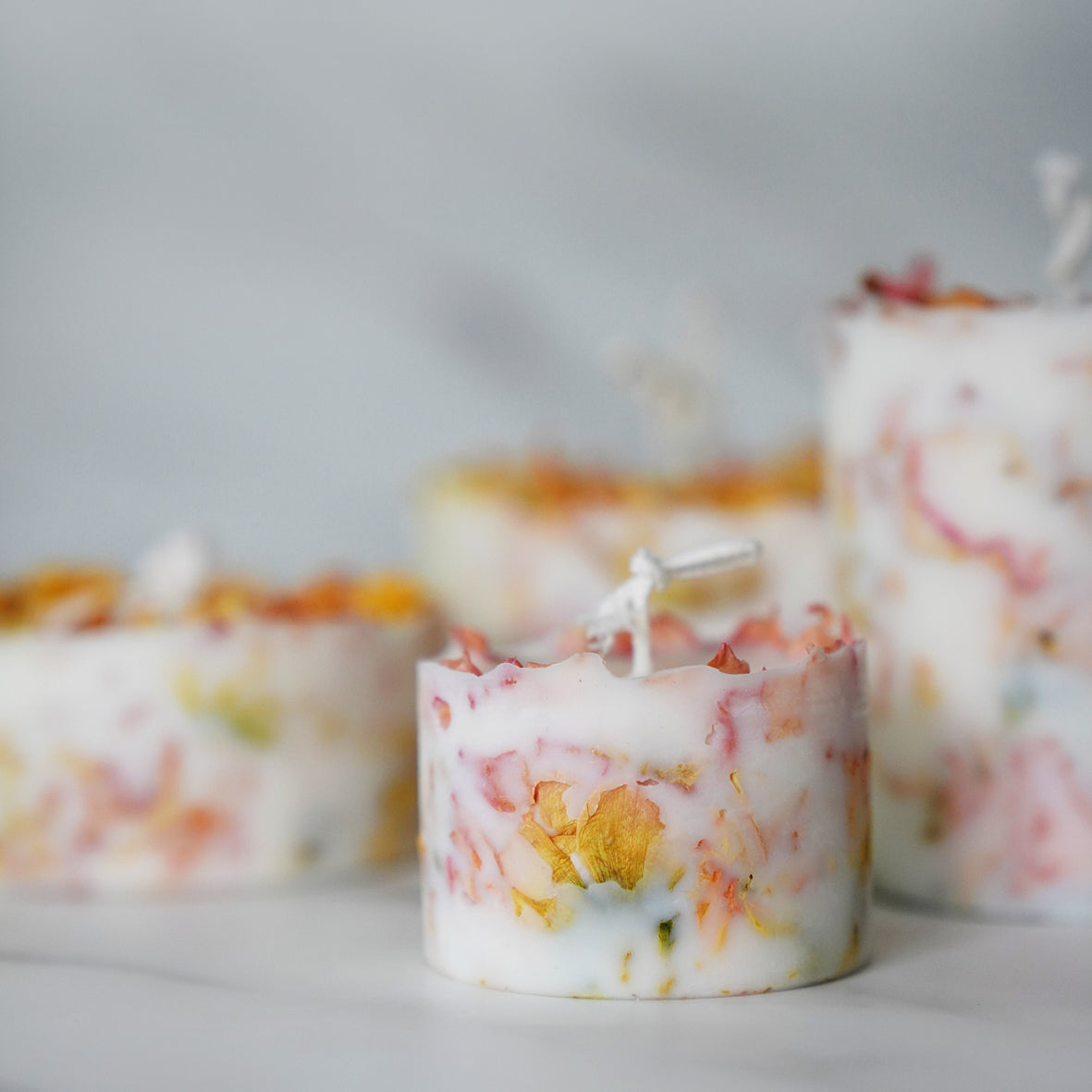 Under the Fig Tree 10