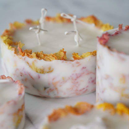 Under the Fig Tree 90