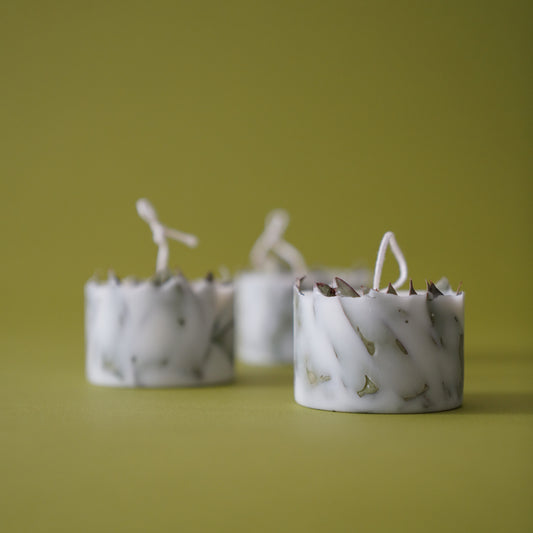 KOTT Botanical Candle | Moss | Evolve