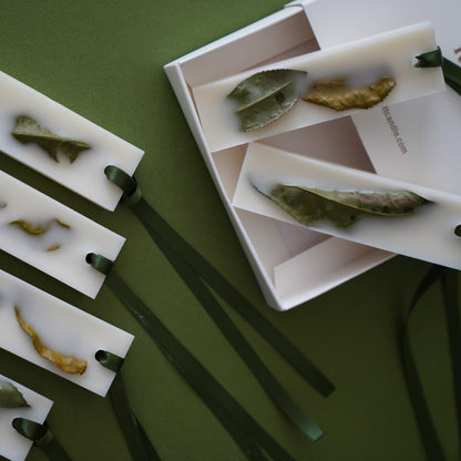 KOTT Botanical Wax Tablet | Hadong