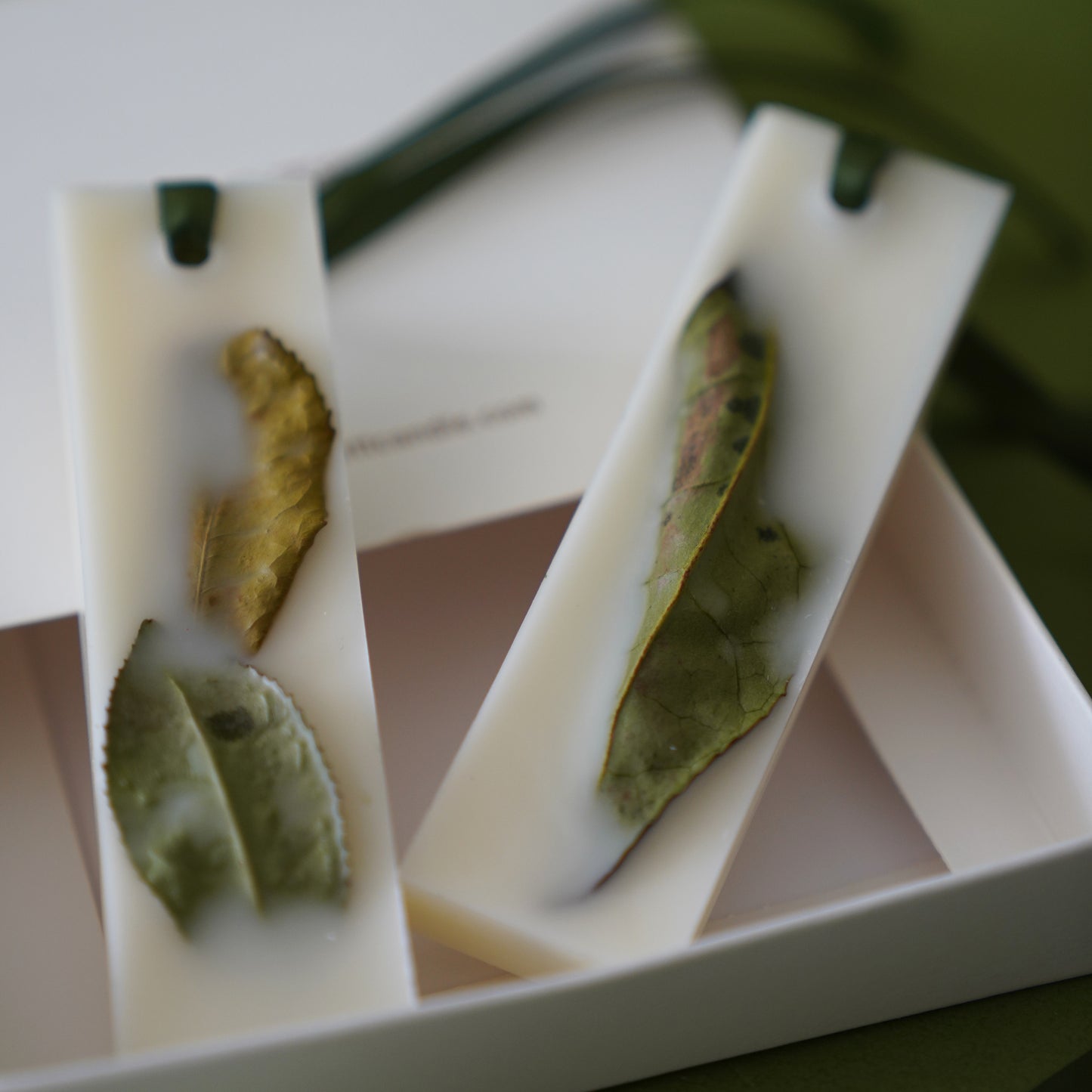 KOTT Botanical Wax Tablet | Hadong