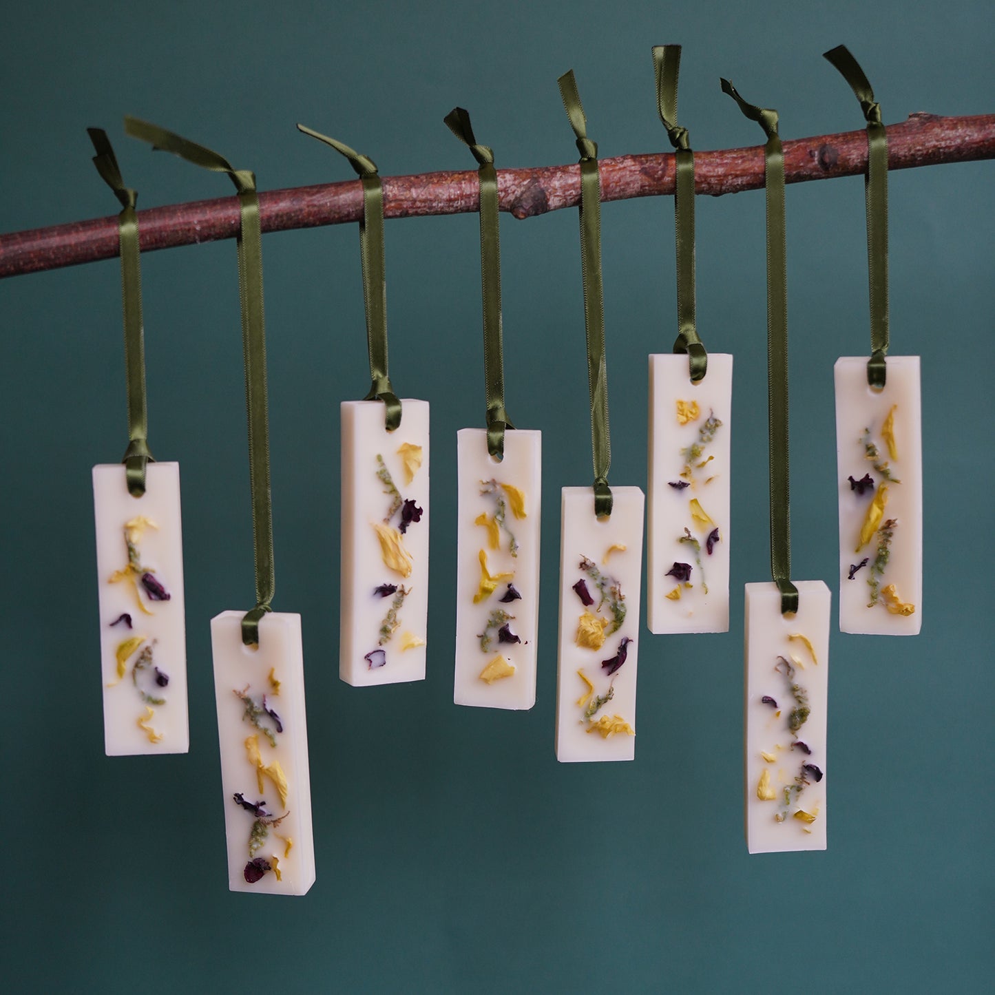 KOTT Botanical Wax Tablet | Moss
