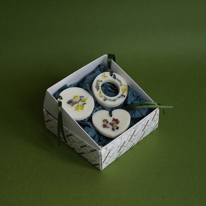 KOTT Botanical Wax Tablet | Moss