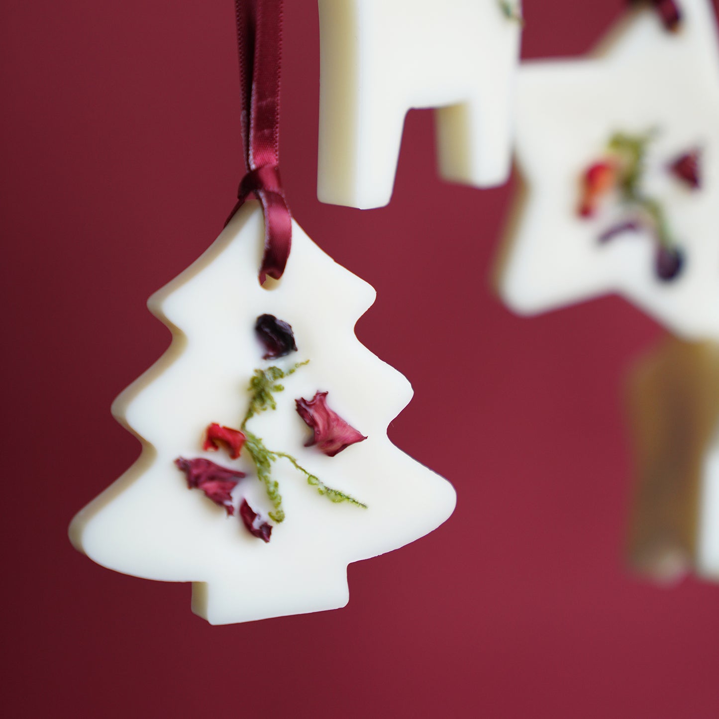 KOTT Botanical Wax Tablet | X-mas